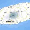 제주 천제연 난대림 이미지