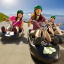 통영참복 이미지