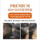 오늘, 헤어 네이버블로그