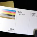 꽃날개피다