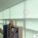유성이용업 | 대전블라인드 공장-유성구 봉명동 사무실 소방검열후 방염롤스크린 설치