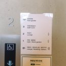 (주)골든게인코리아 | 서울 목련 명소 안국역 삼청동 목련 만개 실시간 + 코리아 게스트하우스 포토존