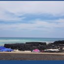 위드세화민박 이미지