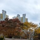 매곡근린공원 이미지