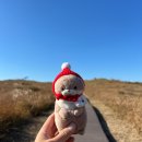 원북농협 하나로마트 이미지