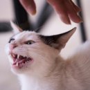 대신메디칼 이미지