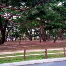 장자골민박 이미지