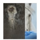 모란미술관 이미지