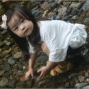 문암3리 Daum카페