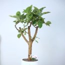 행정사사무소현덕 이미지