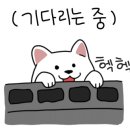 하이멍 애견카페 이미지