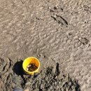 더담은펜션 이미지