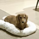 형진농장 | 바다 같기도, 바늘구멍 같기도한 12월