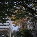 21세기공인중개사사무소 이미지