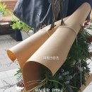 스튜디오미립크란츠 이미지