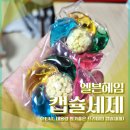 에스앤에스케어텍 주식회사 | 엘븐헤임 캡슐세제 후기 (대용량 향기좋은 세탁세제)