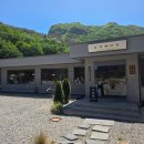사계한방삼계탕 | 담양 맛집 추천 삼계탕 담양 삼계사계