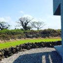 금등스테이199 이미지