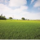 선도보건진료소 이미지