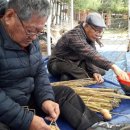 문등2리 이미지