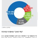 뉴스토마토 여론조사) 윤 대통령 긍정 29.2% 민주 46.8% 국힘 31.5% 등(종합) 이미지