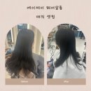관저동미용실 에어제이헤어살롱, 반곱슬 정리 끝판왕 메직셋팅 리얼 후기