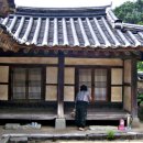 신원사 - 1052 | 신원사