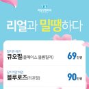 리얼성형외과