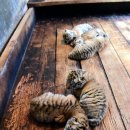 해림민박 이미지