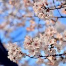 김원삼행정사사무실 이미지