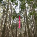 한라산둘레길 동백길 이미지