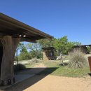 블루보넷 Bluebonnet Muleshoe bend 후기 이미지