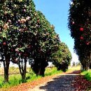 동백자연에너지 이미지