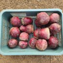 문수농장 이미지