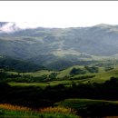 유장목장 이미지