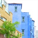 주식회사포도나무