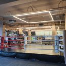 브리드 복싱GYM 이미지