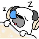 해피퍼피 이미지