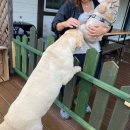 제주섬마리 이미지