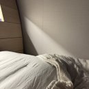 종로-신교-종로-신-328 | ✋🏻😮🤚🏻