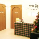 삐삐애견 이미지