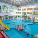 화순금호리조트푸드코트 이미지