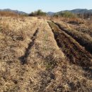 작천농장 이미지