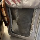 묘한호텔 | 고양이와 이사하기 ① | 묘한호텔 인천점 | 인천 고양이호텔 내돈내산 후기 | 준비물 등