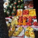 싱싱청과 이미지