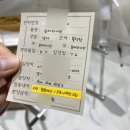 포더독스 강아지 강서 마곡점 네이버블로그