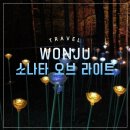 빛의 소나타 | 원주 소나타 오브 라이트 빛으로 물든 밤, 환상적인 야간 산책 후기
