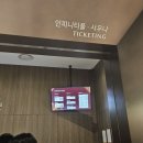 쏠비치 호텔앤리조트 진도 인피니티풀 이미지