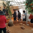 육성농장 이미지