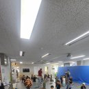 키즈태권도장 이미지